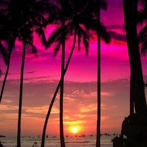 Meet your Posher, Shawnna